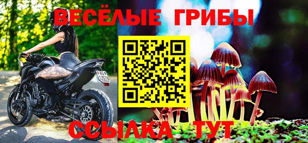 Псилоцибиновые грибы MAGIC MUSHROOMS  Вход с VPN  Кировск 