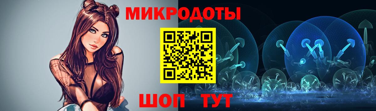 Псилоцибиновые грибы Cubensis Кировск